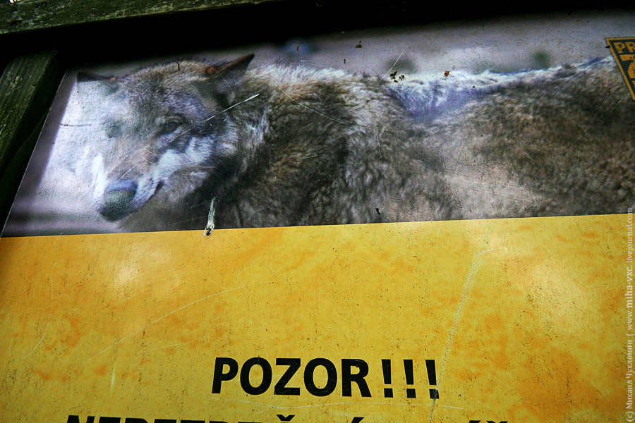 Зоопарк Праги