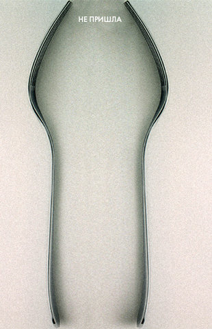     161.jpg