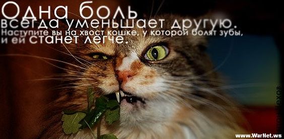     187.jpg