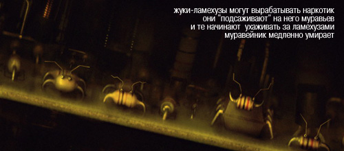     91.jpg