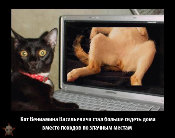     75.jpg